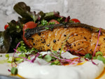 Grilled Salmon